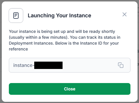 Launching your instance
